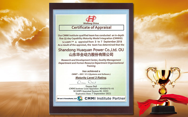 CMMI3国际认证资质